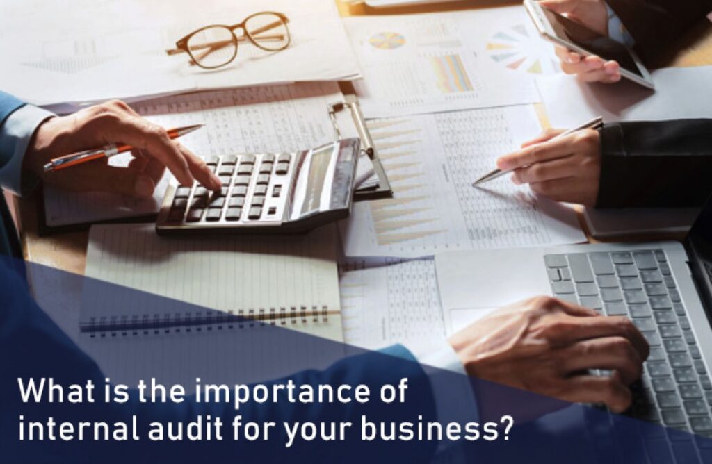 The Vital Role of Internal Auditors in Indian Organizations